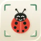 Insect Identifier by Picture iOS Icon