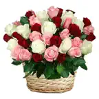 Bouquet Bucket of Flowers HD iOS Icon