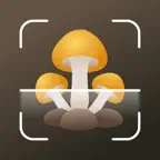 Mushroom identifier Picture ID icon