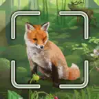 Forest Shuffle™ Smart Counter iOS Icon
