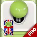 Learn English with Lingo Arcade PRO iOS Icon
