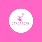 Cancatcar iOS Icon