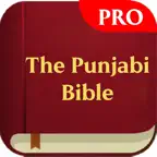 The Punjabi Bible Pro iOS Icon