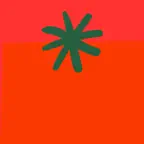 Pomodoro Focus Timer - Chunks iOS Icon