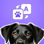 Cat & Dog Sounds Translator iOS Icon