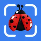 Insect Identifier, Bug Finder iOS Icon