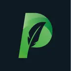 Paraphrase - Paraphrasing Tool iOS Icon