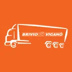 Brivio & Viganò X iOS Icon