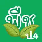 VR ป.4 พืช iOS Icon