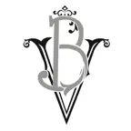 BV UAV iOS Icon