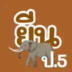 VR ป.5 ยีน iOS Icon