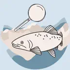 FischBlick Icon