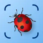 Bug Identifier: Insect ID (AI) iOS Icon