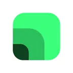 Strive: управление проектами Icon