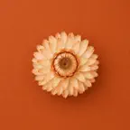 Wallpapers: Fall Aesthetic iOS Icon