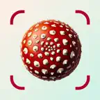 Mushroom Identifier: ID (AI) iOS Icon