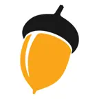 Acorn Pool Icon
