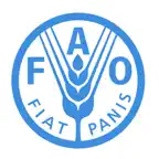 FAO Digital Services Portfolio Icon
