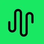 Analyzer for Spotify Stats Icon