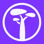 Baubap icon