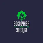 Восточная Звезда iOS Icon
