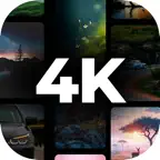 Live 4k WallPapers for iPhone iOS Icon