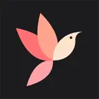 Affirmations - ManifestZen iOS Icon