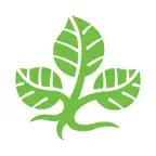 myHFD iOS Icon