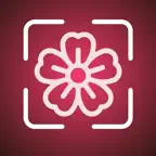 FlowerAI: Identify Flowers iOS Icon