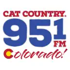 Cat Country 95.1 iOS Icon