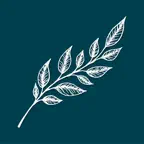 Reverie Life iOS Icon