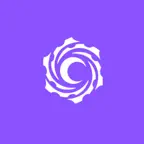 Collision Vision Icon