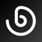 Bebunk Pro iOS Icon