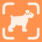 Dog Breed Identifier - ScanDog iOS Icon