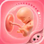 Pregnancy Tracker - Buddy App icon