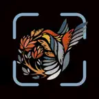 AI Simple Anything Identifier iOS Icon