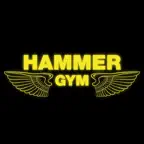 HAMMER GYM UKRAINE iOS Icon