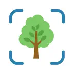 Tree Identifier AI: ID Trees icon