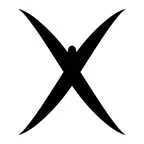 C2C Festival icon