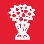 Benihana بينيهانا iOS Icon