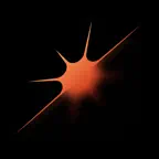 Polaris Focus Icon
