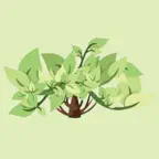Green Solution Group iOS Icon