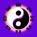 起名解名大师HD 八字排盘 生肖评测算命理 iOS Icon