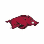 Razorbacks Sticker Pack 2024 iOS Icon