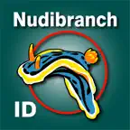 Nudibranch ID Western Atlantic iOS Icon