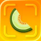 Honeydew: Recipe & Cookbook AI icon