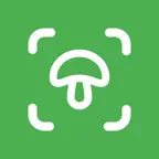 Mushroom Identifier - Mushby icon