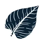 Vishrant iOS Icon
