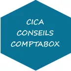 CICA CONSEILS iOS Icon