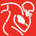 NFLPA Events iOS Icon